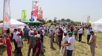 Филиал провёл первый День поля в текущем году.