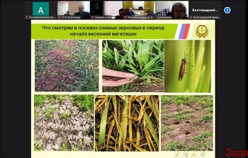 Состоялся очередной вебинар организованный филиалом.