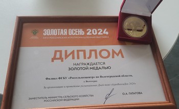 Высокой наградой отметили филиал на выставке «Золотая осень – 2024».