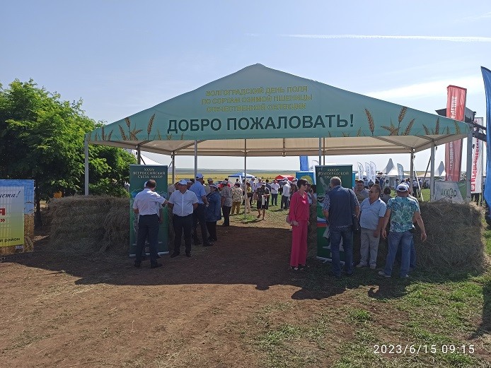Более 500 аграриев объединил региональный День поля по озимой пшеницы.