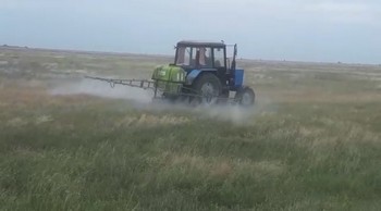 В Волгоградской области от саранчи обработаны все крупные очаги.