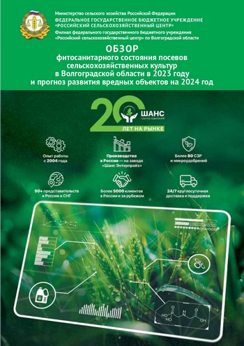Обзор фитосанитарного состояния посевов сельскохозяйственных культур в Волгоградской области в 2023 году и прогноз развития вредных объектов на 2024 год.