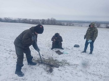 Отбор растительных образцов озимой пшеницы.