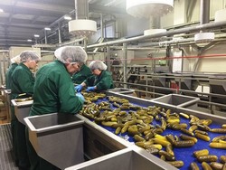 ООО Консервный комбинат Ахтуба, г. Волжский