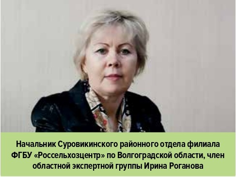 Роганова Ирина Геннадьевна Роганова Ирина Геннадьевна