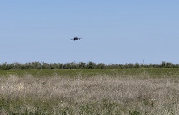 На территории Волгоградской области продолжается мониторинг саранчовых вредителей, в том числе с использованием агро-дронов.