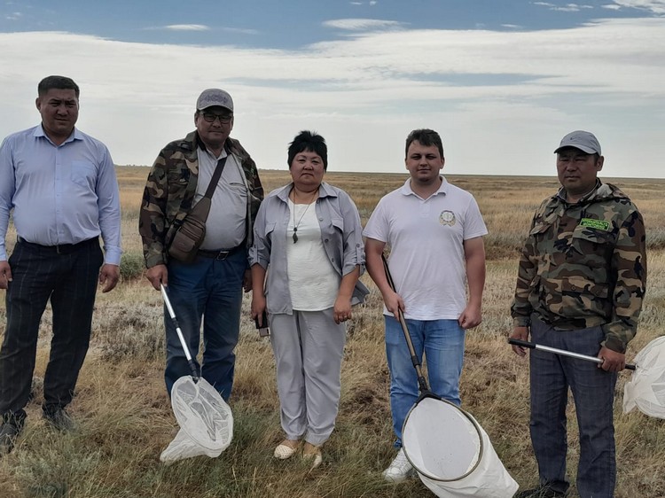 На границе с Республикой Казахстан стадных саранчовых не выявлено.