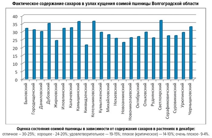 Содержание сахаров в озимой пшенице