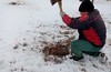 Запасы сахаров в узлах кущения и азота в почве: все секреты удачной перезимовки озимой пшеницы. (АгроЦентр34, №5(4) март 2023г.)